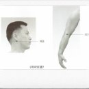 뜸 이미지