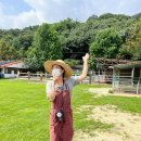 심화목장 이미지