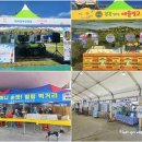 [일원1] 사진작가로 데뷔하기 | 정남진 장흥 물축제 일정 가수 라인업 주차장 여름축제 후기
