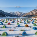 고원모텔 | 2026 평창 송어 축제 완벽 가이드: 텐트 낚시 예약부터 상세 요금, 명당 후기까지 총정리