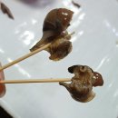 거제횟집 | 남포동 횟집 거제횟집 활어회 솔직 후기