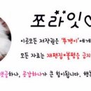 스마일플러스동물병원 이미지