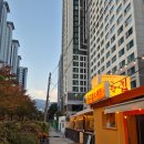 버섯마당집 | 해운대 마당집 고기집 삼겹살 꼬들살 꽃냉삼 조합 솔직 후기