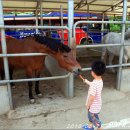 한터농장 이미지