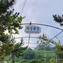 바당민박 | 울주군 서생면 나사리 바당민박(마로니에)에서 일박한 후기