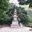 상운사 - 1185 | 상운사