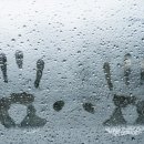 양벌로 이미지