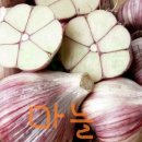 화접몽한의원 이미지