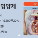 (주)페피테일 이미지