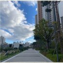 광안자이부동산중개사무소 이미지