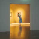 펫츠온더포인트 이미지