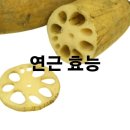 연근 효능 및 효과 보관법 이미지