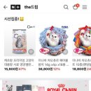 더드림컴퍼니 이미지