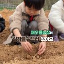 해오름유치원 이미지