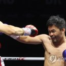 쿠바복싱 이미지