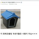 외화 유출범 여기있습니다...(일본 사가 다녀옴)