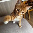 리스타트 안경 | 블챌