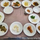 신촌닭백숙식당 티스토리