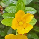 해거름길 이미지