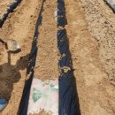 한얼농장 이미지