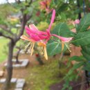 팔영경로당 이미지