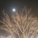 솔롱고 이미지