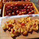 낙원농장 이미지