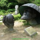 김삿갓면-15 이미지