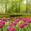 가든호프 이미지