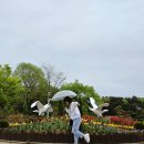 서산버드랜드 전시관(2층) 이미지