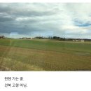 바오밥나무 민박 | 🇩🇪독일 뮌헨,퓌센,밤베르크,뉘른베르크