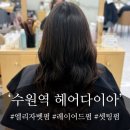곱슬곱슬 | 수원역 엘리자벳펌 잘하는 미용실 헤어다이아 방문 후기와 실장님 추천