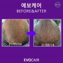 제제헤어 이미지
