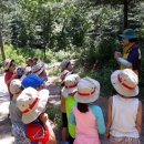 해나어린이집 이미지