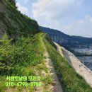 대건주 이미지