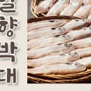일향유통