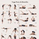 요가(중급) 이미지