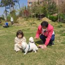 안상수동물병원 이미지