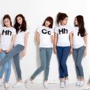 치치 이미지