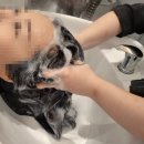 둥지미용실 - 정읍시 | [분당 미용실 헤어다이아 미금스타점] 레이어드컷 헤드스파로 힐링하고 온 솔직 후기 (소윤 수석디자이너)