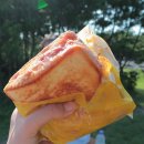 표선토스트