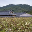 하회1리경로당 네이버블로그