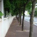 초원복국 이미지