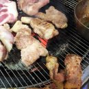 돼지새마을운동 이미지