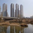 반송동198 이미지