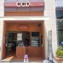 카페CCD창원 - 45845 | 줄 없는 카페 발견… 한산한 줄 알았는데 안은 완전 다름 (창원 CCD 솔직 후기)