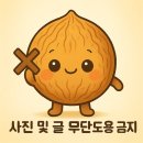 양심소 | 세교동 맛집 재방문 의사 100%, 양심소 한판 솔직 후기