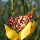 (주)진리 이미지