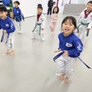 눈부시게 빛나는 태권도장 이미지