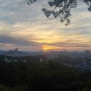 박종래농장 이미지